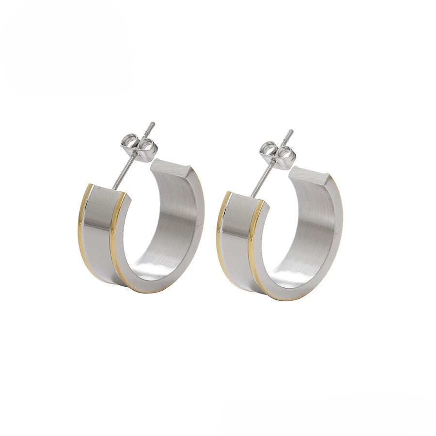 Silver & Gold Elegant Earrings