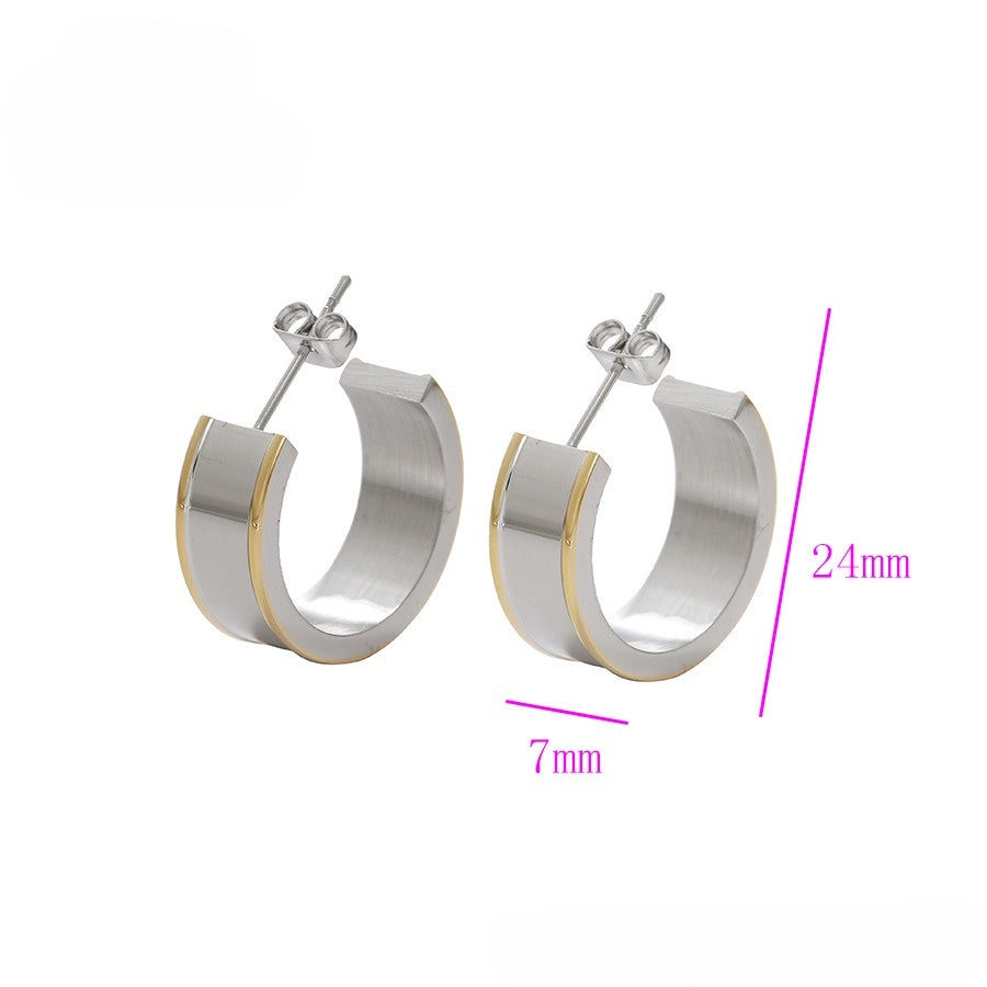 Silver & Gold Elegant Earrings