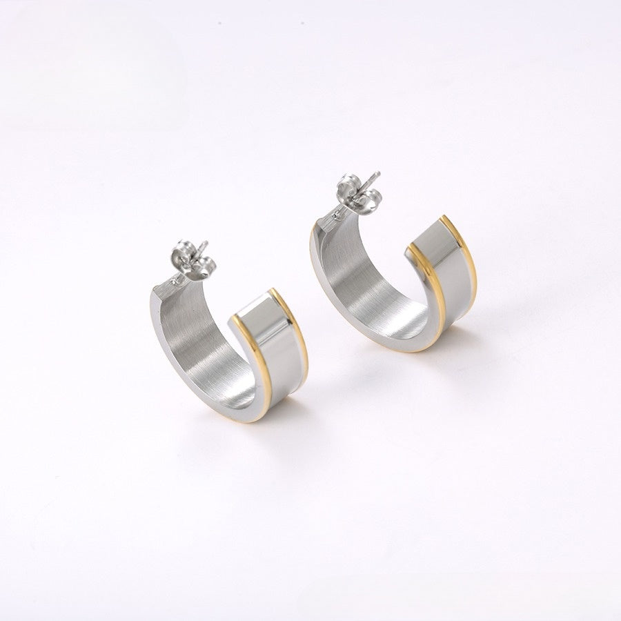 Silver & Gold Elegant Earrings