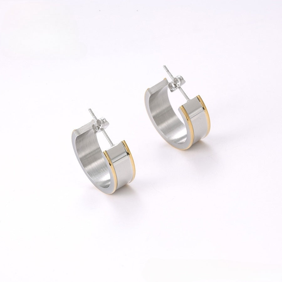 Silver & Gold Elegant Earrings